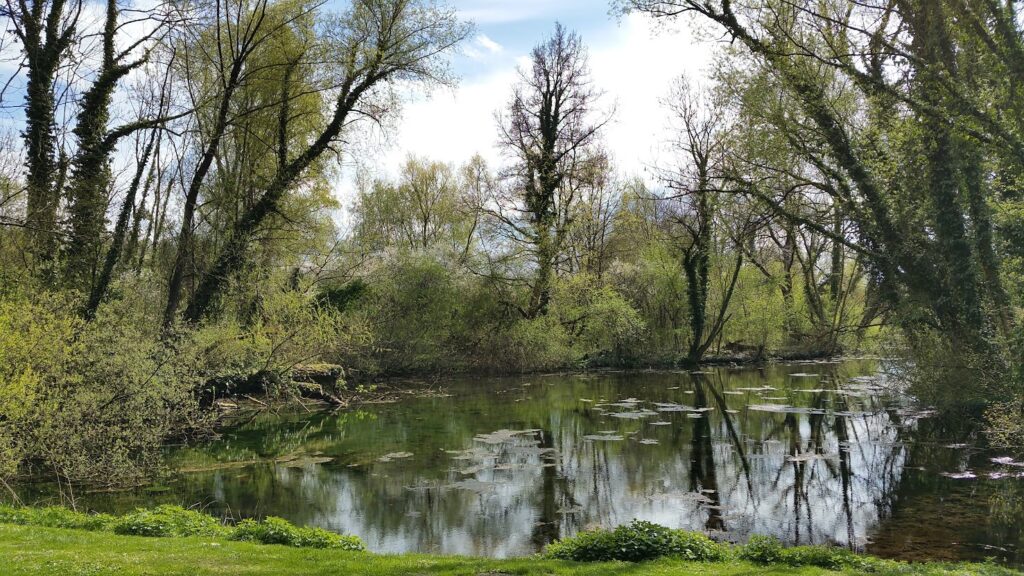 Quellteich