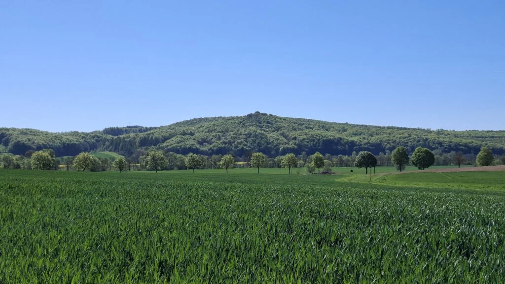 Startseite Lichtenstein
